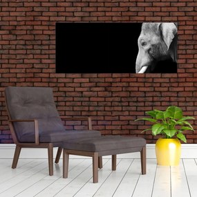 Tablou - Elefant (120x50 cm)