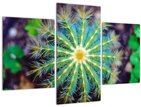 Tablou cu cactus (90x60 cm)