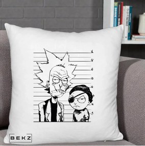 Perna Personalizata Rick si Morty Dosar, 40x40 cm, Alb Pufos, Husa Detasabila, Perna Inclusa, BEKZ®