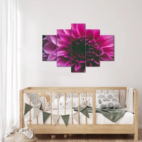 Tablou cu floarea roz (150x105 cm)
