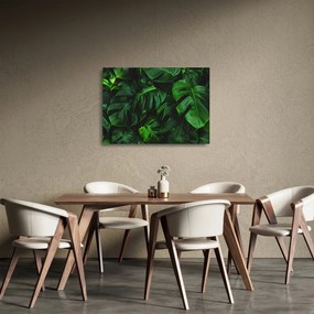 Tablou pe sticlă cu frunze Monstery (70x50 cm)