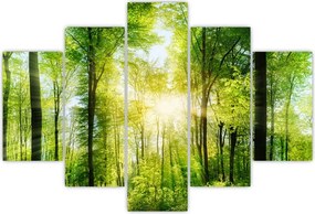 Tablou - Răsărit în pădure (150x105 cm)