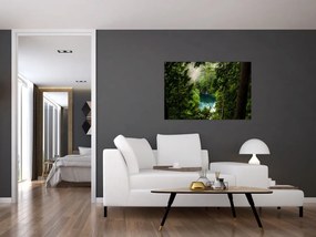 Tablou - Fereastra între copaci (90x60 cm)
