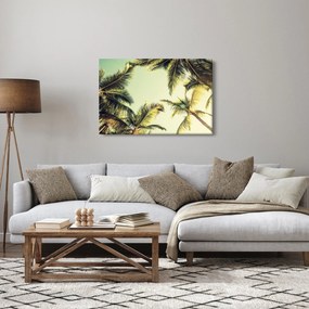 Tablou - Palmieri de cocos (90x60 cm)