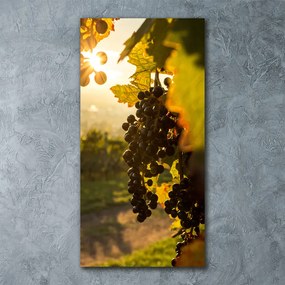 Tablou Printat Pe Sticlă Vie