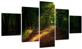 Tablou cu poteca prin pădure (125x70 cm), în 40 de alte dimensiuni noi