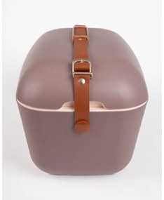 Cutie termoizolantă maro 12 l Classic Gold – Polarbox