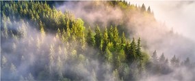 Tablou peisajului montan (120x50 cm)
