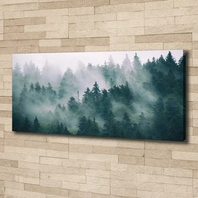Tablou canvas Ceață peste pădure