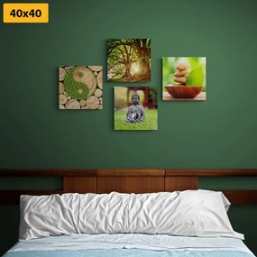 Set tablouri Feng Shui în design verde