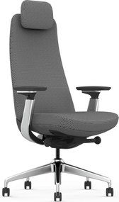 Scaun Ergonomic Premium cu Tetieră Reglabilă, Suport Lombar Ajustabil, Cotiere 3D, Mecanism Multifuncțional și Bază din Aluminiu, Gri