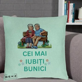 Cadou pentru Bunici - Perna Personalizata Cei Mai Iubiti Bunici Cuplu pe Banca Ilustratie, 40x40 cm, Verde Menta, Husa Detasabila, Perna Inclusa, BEKZ®