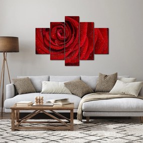 Tablou - detaliu de trandafir (150x105 cm)