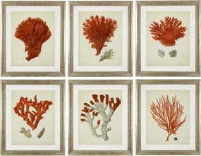 Set de 6 tablouri design LUX Antique red corals 111741 HZ