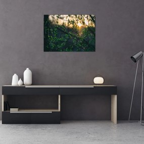Tablou pe sticlă - Soarele strălucind printre crengile copacilor (70x50 cm)