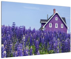 Tablou cu câmp de lavanda (90x60 cm)