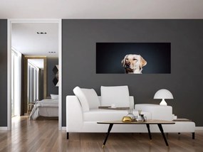 Tablou cu labrador (120x50 cm)
