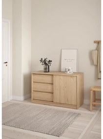 Comodă în culoare naturală cu aspect de lemn de stejar cu ușă glisantă 119x76x50 cm Naia – Tvilum