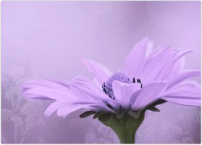 Tablou - Flori mov (70x50 cm)