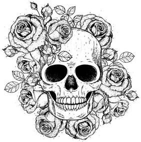 Ilustrație Skull and flowers hand drawn illustration., vidimages
