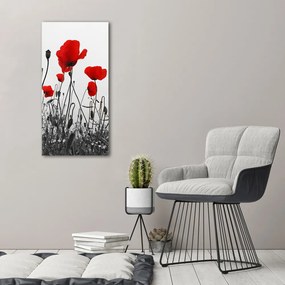 Tablou canvas Wildflowers maci