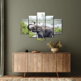 Tablou - Elefant de scăldat (150x105 cm)