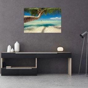 Tablou - Mare curată cu palmier (90x60 cm)