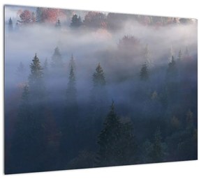 Tablou pe sticlă - Pădure în ceță, Carpați, Ucraina (70x50 cm)