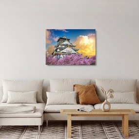 Tablou pe sticlă - Castelul Osaka (70x50 cm)