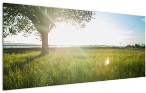 Tablou cu lunca în vară (120x50 cm), în 40 de alte dimensiuni noi