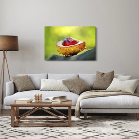 Tablou cu castani (90x60 cm)