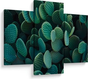 Tablou - Opuntia (90x60 cm)