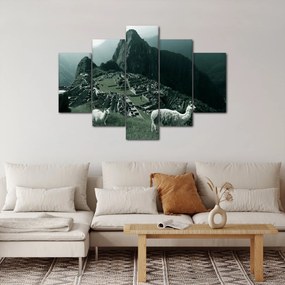 Tablou - Lamas la Machu Picchu în Peru (150x105 cm)