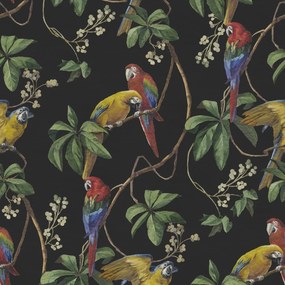Fototapet, Parrots, Midnight, Rebel Walls
