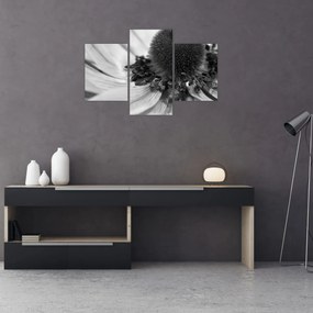 Tablou - Floare în alb-negru (90x60 cm)