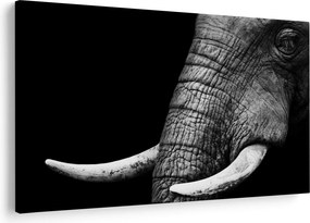 Tablou - Colți de elefant (90x60 cm)