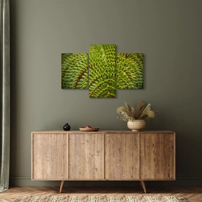 Tablou - Fern (90x60 cm)