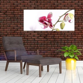 Tablou cu floarea de orhidee (120x50 cm)