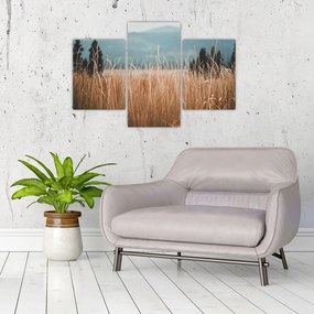 Tablou - detaliu spațiului de luncă (90x60 cm)