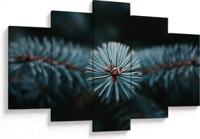 Tablou -Crenguțe ale unui conifer (150x105 cm)