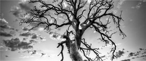 Tablou - Copacul, alb-negru (120x50 cm)