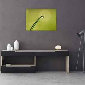 Tablou cu picătură de apă pe iarbă (70x50 cm), în 40 de alte dimensiuni noi