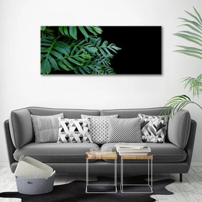 Print pe canvas Monstera