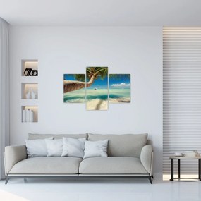 Tablou - Mare curată cu palmier (90x60 cm)