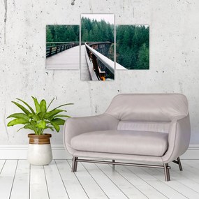 Tablou - Pod spre vârfurile copacilor (90x60 cm)