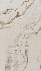 Covor Modern Living , Dormitor Dreptunghiular Asia F251B Gold (Alege dimensiunea: 100 x 200)