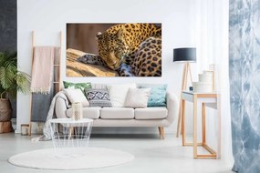 Tablou Leopard - animale salbatice - 120x80cm