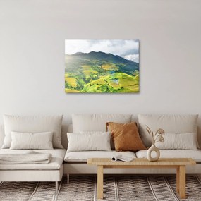 Tablou plantație (70x50 cm)
