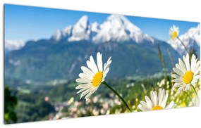 Tablou - Primăvara în Alpi (120x50 cm)