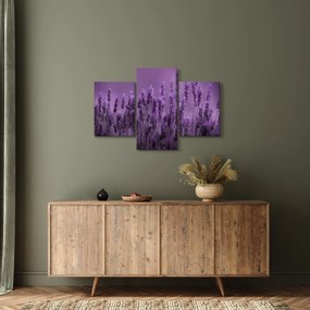 Tablou - Lavanda (90x60 cm)
